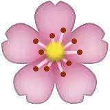 深化行業認知，共謀發展新篇——中煤蒙大公司特邀孫惠民授課經濟信息咨詢