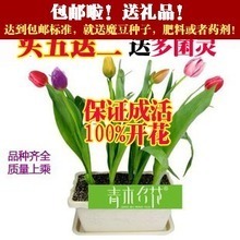 青木名花 產(chǎn)品參考信息與全面解析